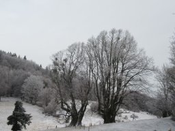 2018-Kaiserkogel (18)